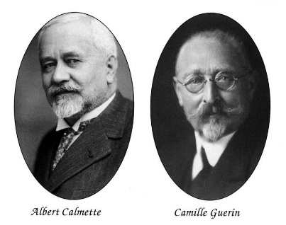 Calmette i Guerin - twórcy szczepionki BCG